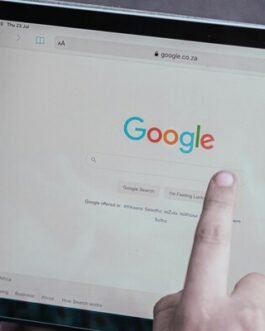 Internet search engine popularity