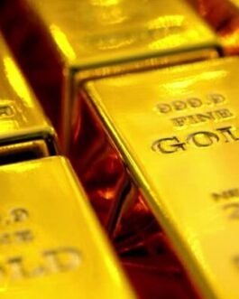 Gold Price Regression